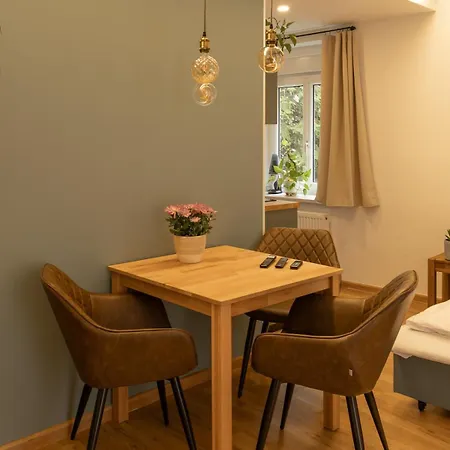 Geidorf Residenz - Serviced & Parking Appartement *