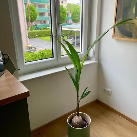 Apartment Geidorf Residenz Graz