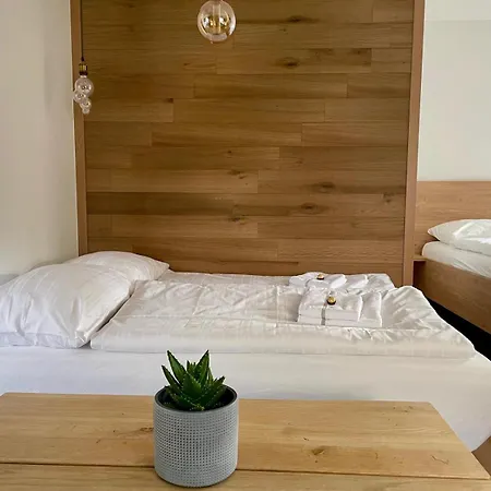 Geidorf Residenz - Serviced & Parking * Štýrský Hradec