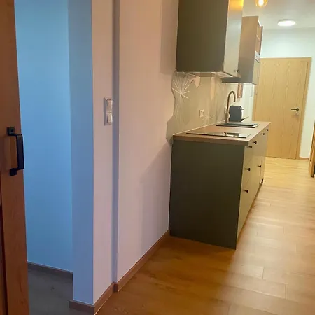 Apartman Geidorf Residenz - Serviced & Parking *