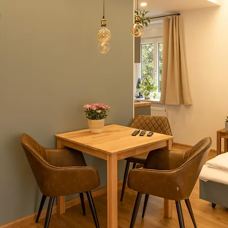 Daire Geidorf Residenz - Serviced & Parking *