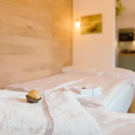 Apartman Geidorf Residenz - Serviced & Parking *