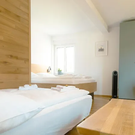 Geidorf Residenz - Serviced & Parking Graz