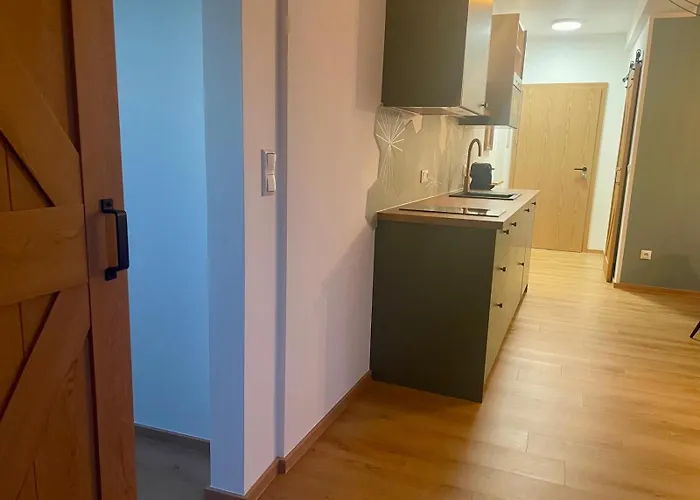 Apartmán Geidorf Residenz - Serviced & Parking *